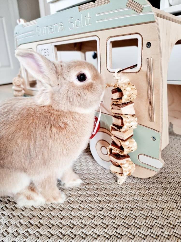 Natural Living Hanging Toy