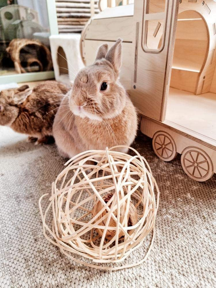 Bouncing Ball Rabbit Rattan Wobble Ball – Wild About Bunnies