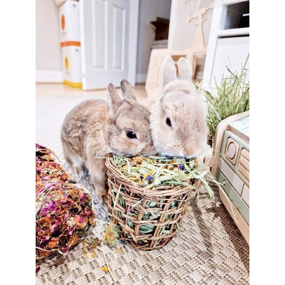 Willow Hay Basket
