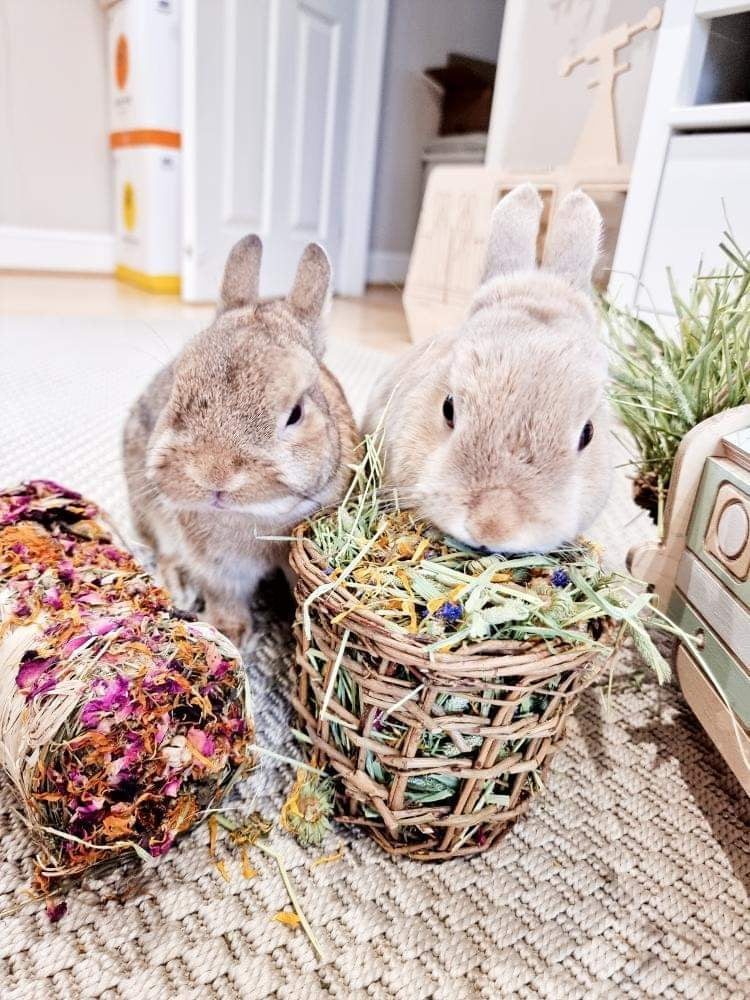 Willow Hay Basket