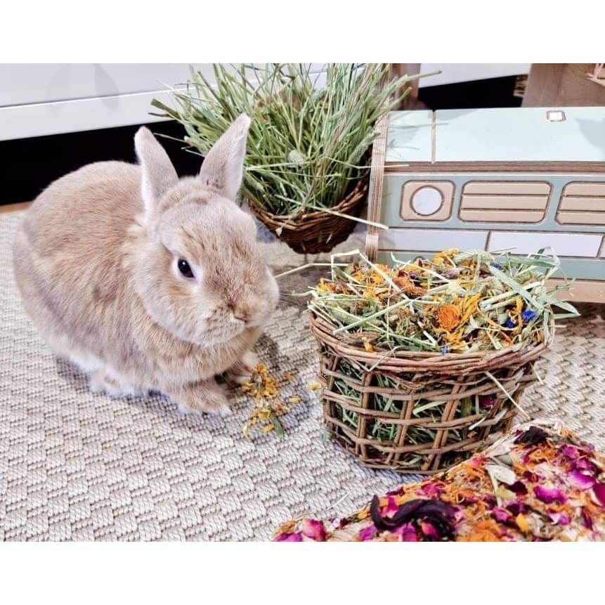 Willow Hay Basket
