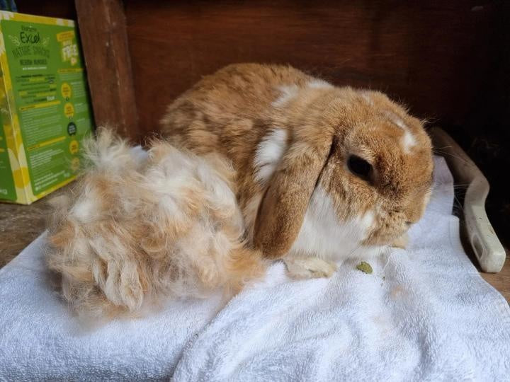 HairBuster Comb
