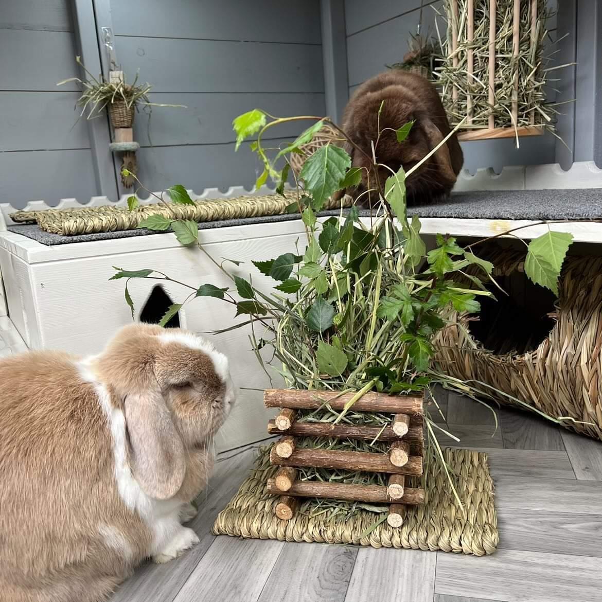 Standing Hay Manger