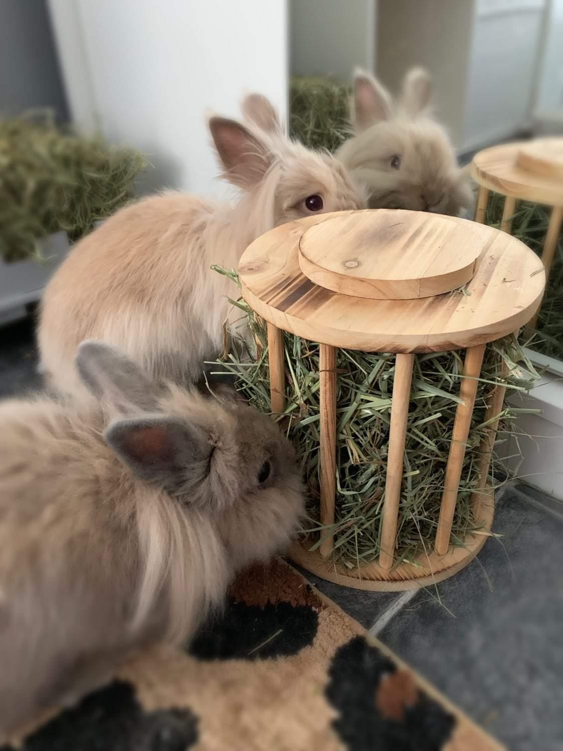 Flamed Wood Hay Rack/Roller
