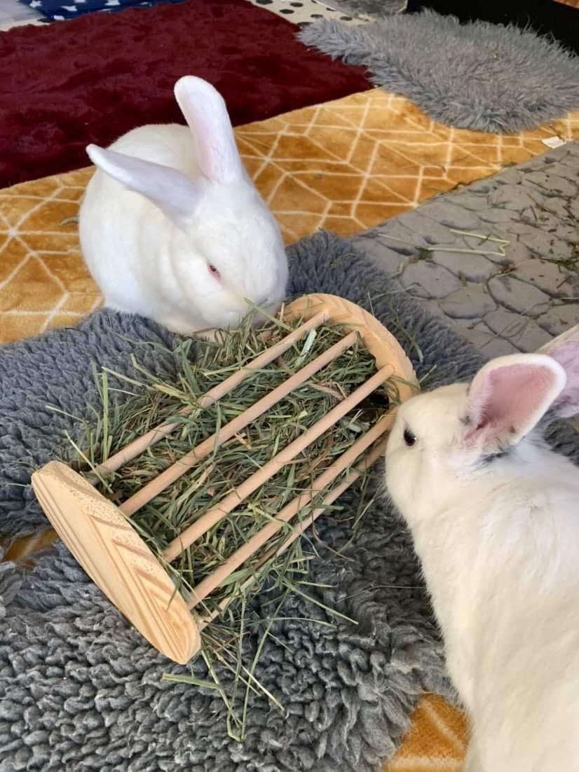 3 in 1 Hay Rack/Roller