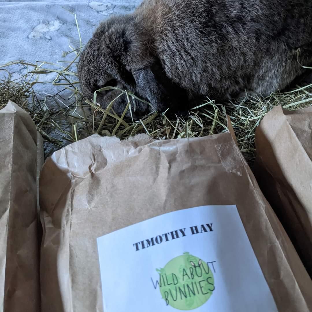 Wild About Bunnies 1st cut Timothy Hay Box
