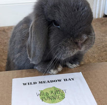 Load image into Gallery viewer, Wild About Bunnies Wild Meadow Hay Box
