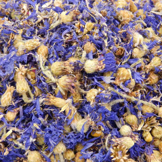 Blue Cornflowers
