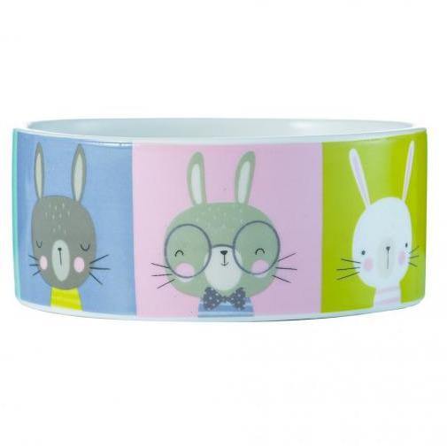 Pawtrait Rabbit Bowl 12cm - Wild About Bunnies