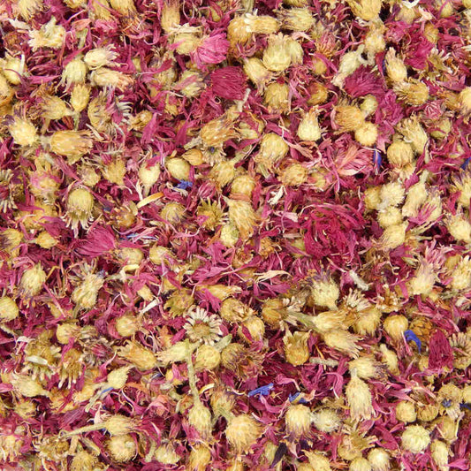 Red Cornflowers