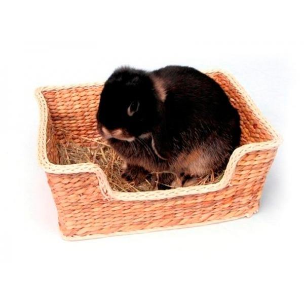 Chill 'n' Snooze Bed (Large) - Wild About Bunnies